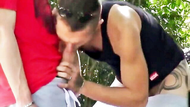 big cocks, frat guys, amature - en public deux jeunes frères