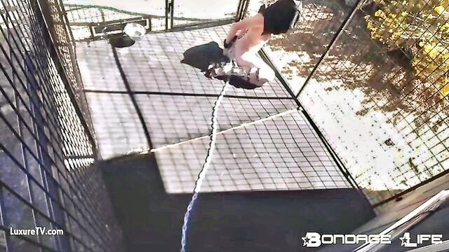 bondage, bondage life, slave - rachel greyhound hogtie