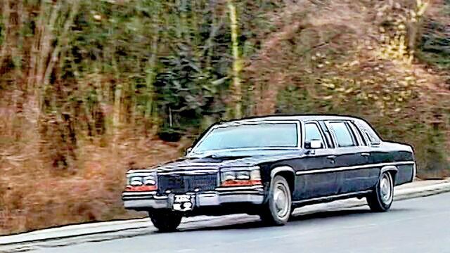 silvia saint - silvia saint 4k