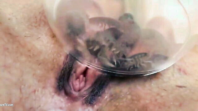 insect play, amateur, sexy - insect sex amateur