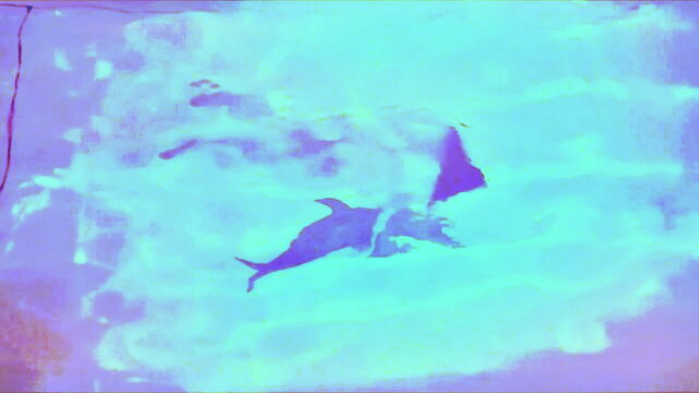 rachel weisz - rachel weisz bush