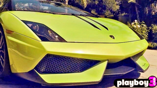 babes in lamborghinipaginator