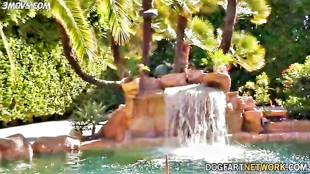 CoCo Lovelock - coco lovelock bbc vacation Dogfart Network