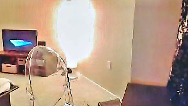 genesis mia lopez - genesis mia onlyfans tape