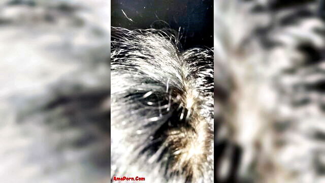 alessia roma - gloryhole bocchini