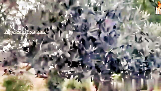 amature, ass play, action - amateur boys fucking tree