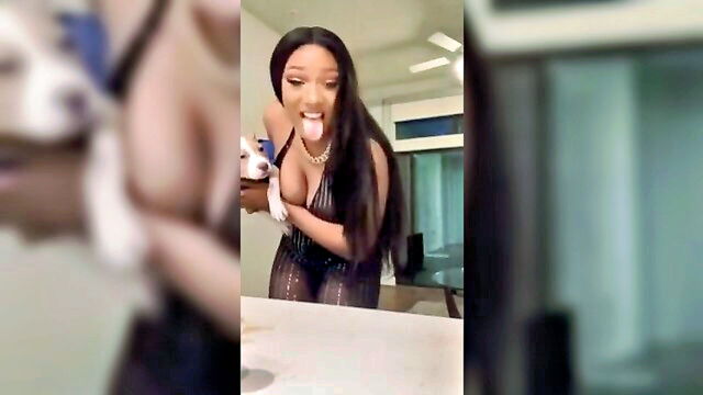 big tits, amateur, celebrities - meghan the stallion nipslip