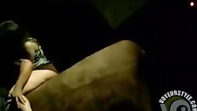 playgirl, horny, ass - twerking girl on bull