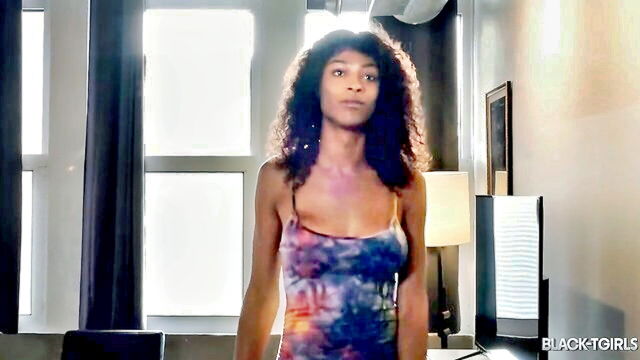 black tgirls hd video