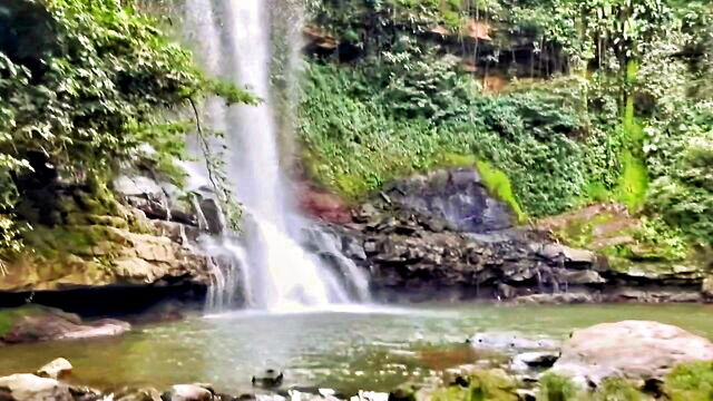 harrybrown2324 - femboy woods cruising