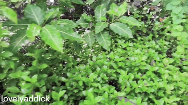 fitri piss outdoor : Lovelyaddik
