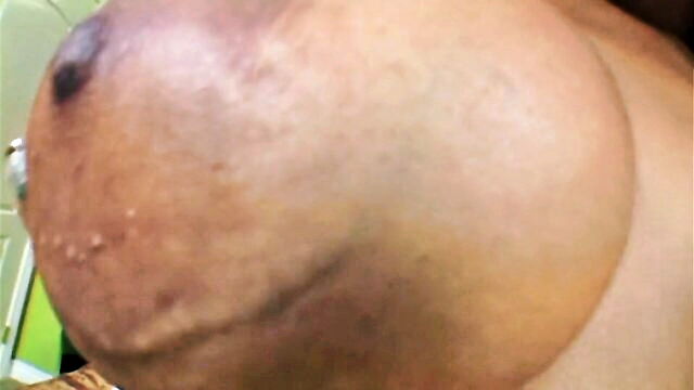 havana ginger - havana ginger xxx