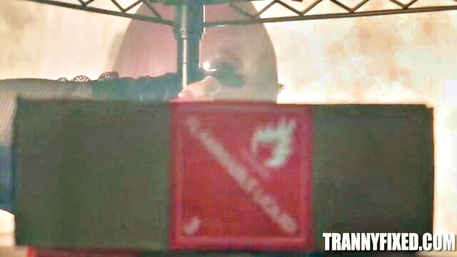 aiden ashley - ts foxxy aids allesey blowjob