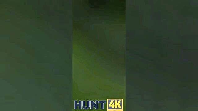 george uhl - pantyhose sex george uhl