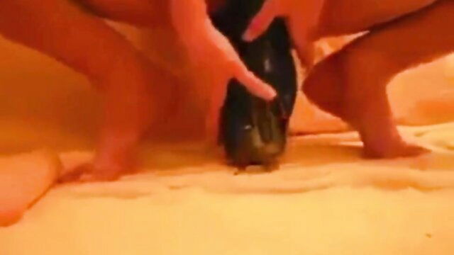 fucking, destroyed, honey - pussy destruction xxx