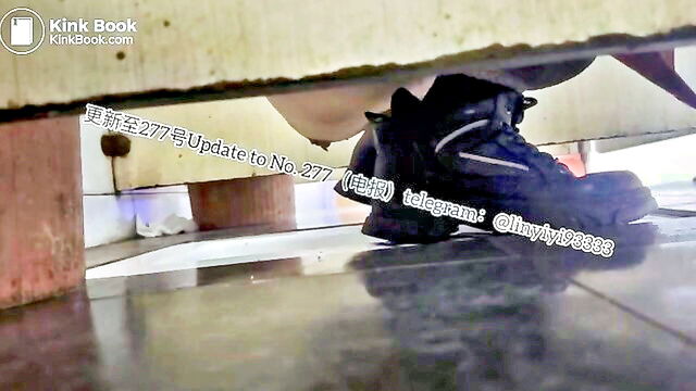 toilet pooping beauty