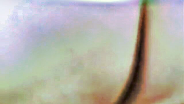 slutty blonde on expensive boat : Captain Stabbin