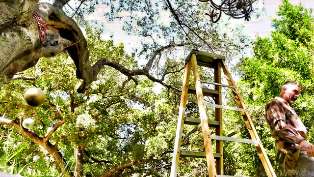 scarlett alexis, charles dera - scarlett alexis doggy style