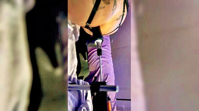 anal, sex toys, big tits - hd doggy toy video