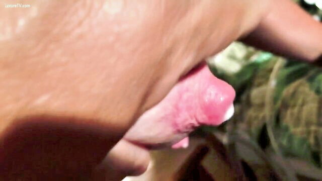 breast pump, amateur, breast milk - myuddersmilking boobs