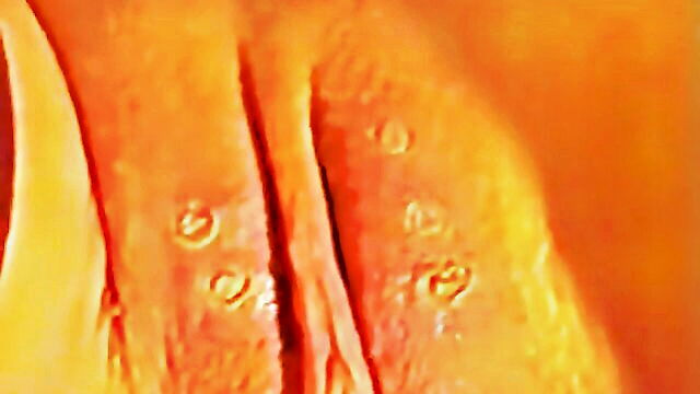 slave, humiliation, unknown - nail pussy piercing