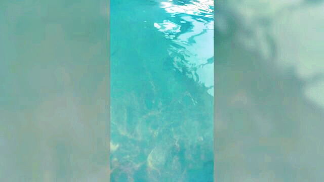 asian, masturbation, pool - lesbian porn swimming pool