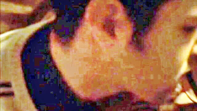 Roxane Mesquida - roxane mesquida sheitan sex