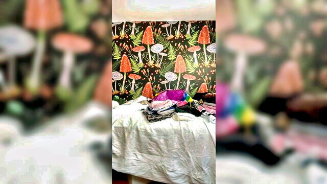 big booty latinas, hayley quinn, big ass - hayley quinn big booty