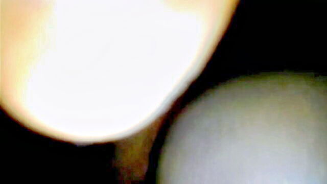 amateur, bareback, anal - young white guy and muscle black daddy