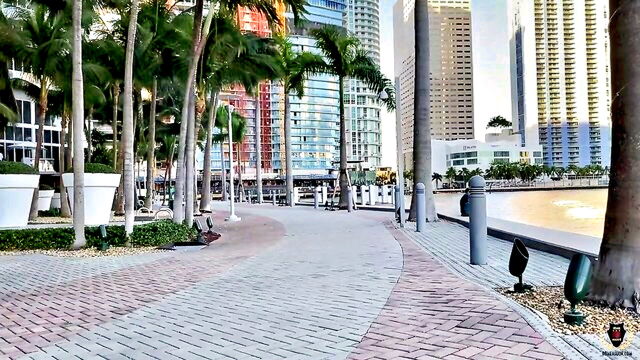 bbw, big tits, big ass - bbw interracial passion