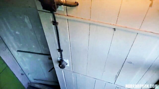 eveline dellai - the girl from the well 5 porn