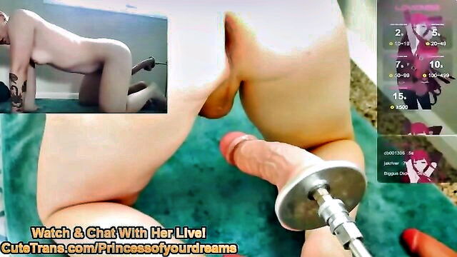 tgirl sex machine vids