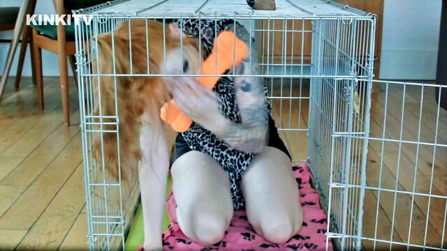 kinkitv, food play, face torture - cage training petgirl alexa