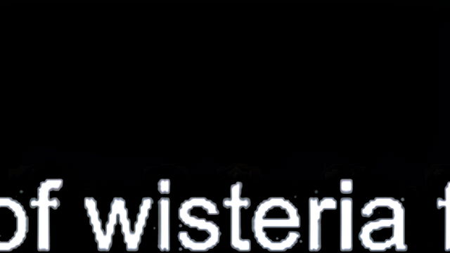 big ass, blowjob, creampie - sensual homemade creampie