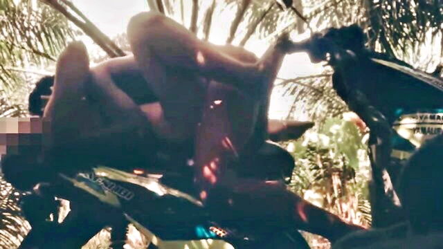 ntTube ngentot di kebun