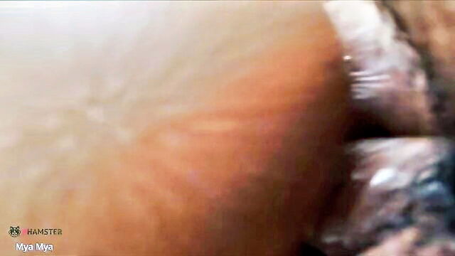 mya mya - mya squirrel girl hd