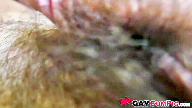 gay porn, gaycumpig, gay sex - guy criss armpit cum