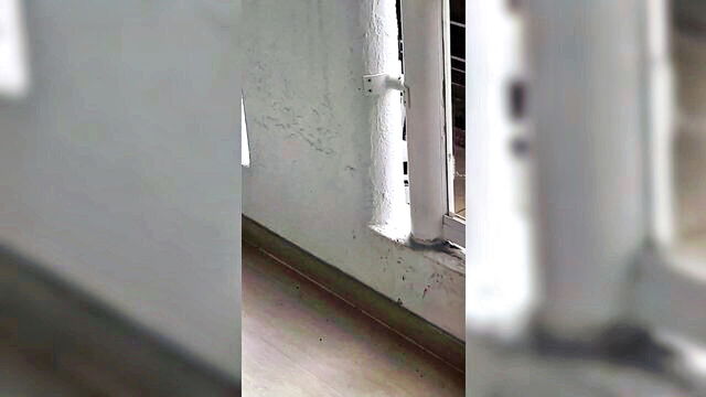 babes, big cock, amateur - vacation fuck fest porn