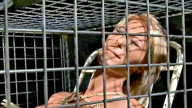 fetish, bdsm, fingering - fetish slave training