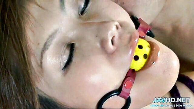 juicy japanese tits vol 26