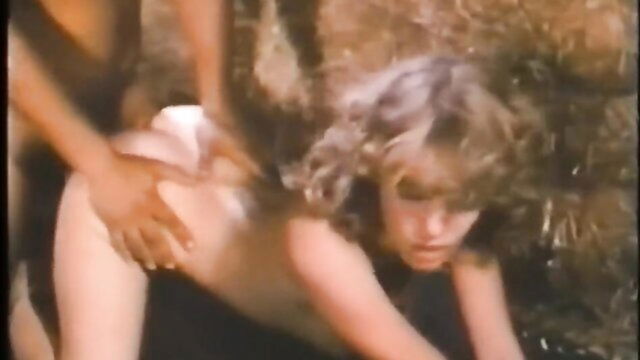 Shauna Grant - shauna grant ass compilation