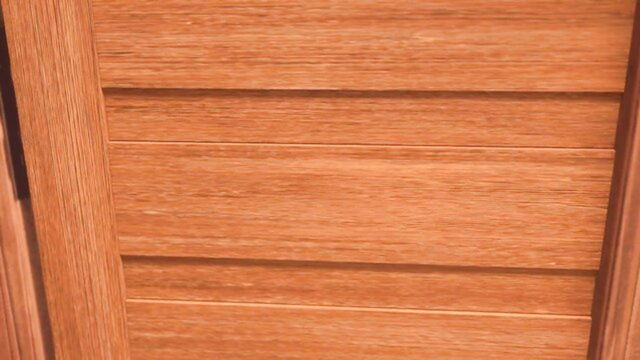 akane (parodius), dolphin, kitty pryde (x-men) - pet play with tradelt