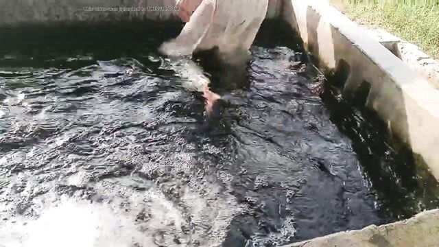 desi, pakistani, youtube - desi guy hot tubewell