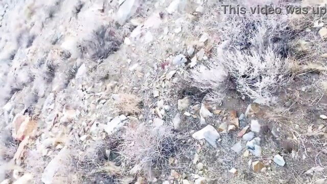 public, big cock, transsexuals - transsexual cock sucking video