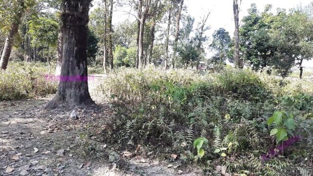 Girlnexthot1 - hindi oral sex outdoor bang