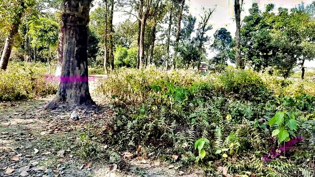 girlnexthot1 - hindi oral sex outdoor bang