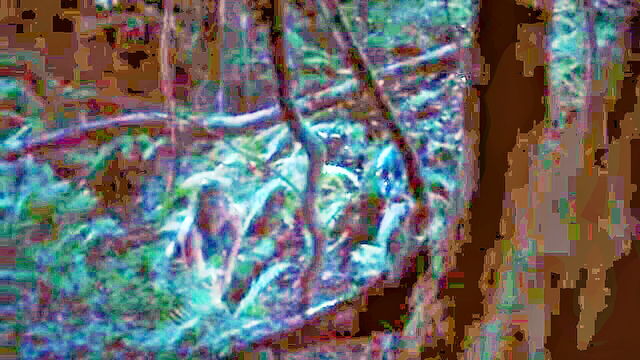 full frontal, explicit nudity, stephanie amarell - abendland nude scenes