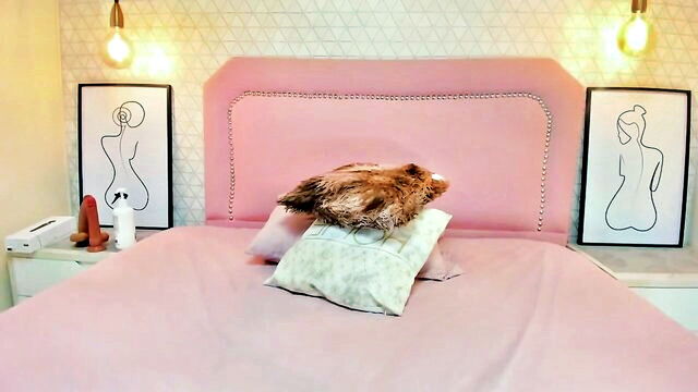 anal, webcam, 11- - taylormeller anal by date