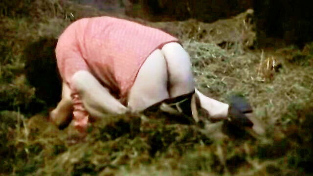 softcore liebesgruss aus der lederhose