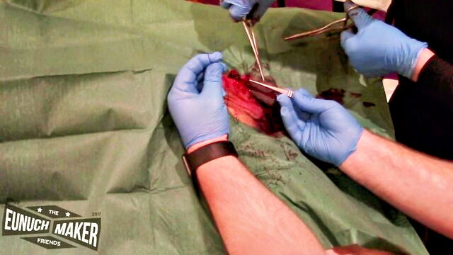 gay, gay bizarre, eunuch - gay castration video